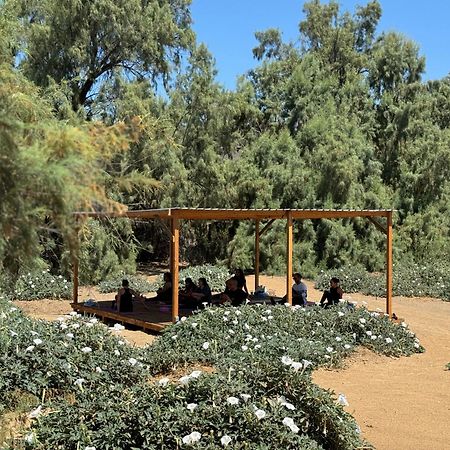 Rancho Dominique ואלה דה גוואדלופה מראה חיצוני תמונה