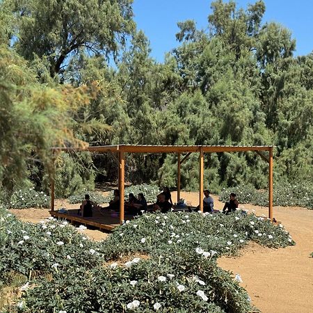 הוילה Rancho Dominique ואלה דה גוואדלופה מראה חיצוני תמונה