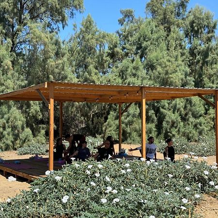 הוילה Rancho Dominique ואלה דה גוואדלופה מראה חיצוני תמונה