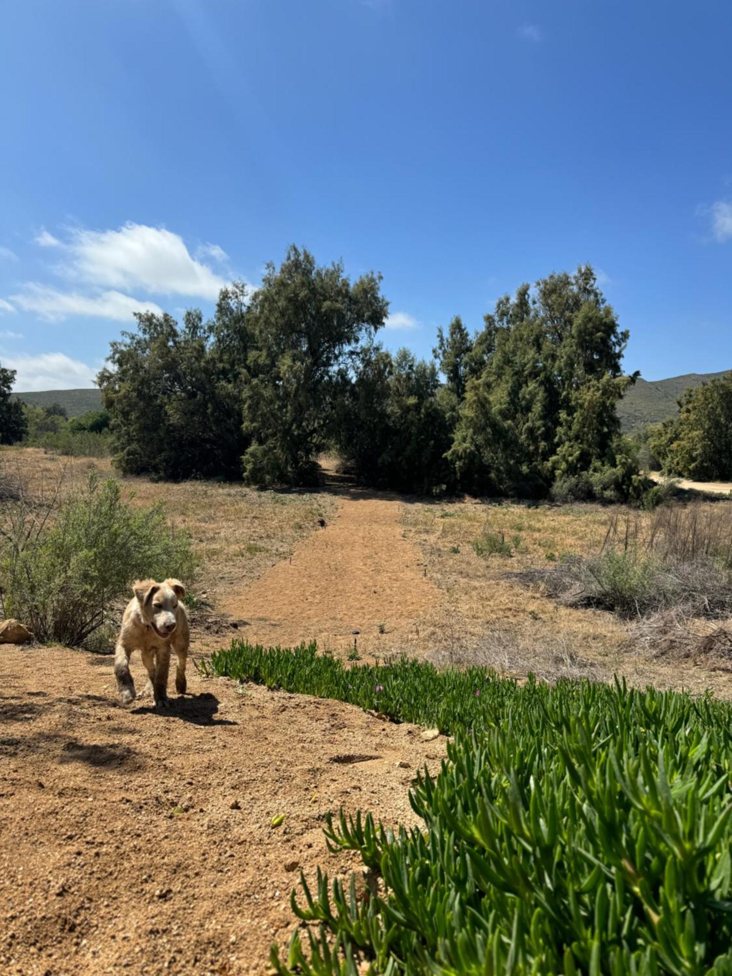 Rancho Dominique ואלה דה גוואדלופה מראה חיצוני תמונה