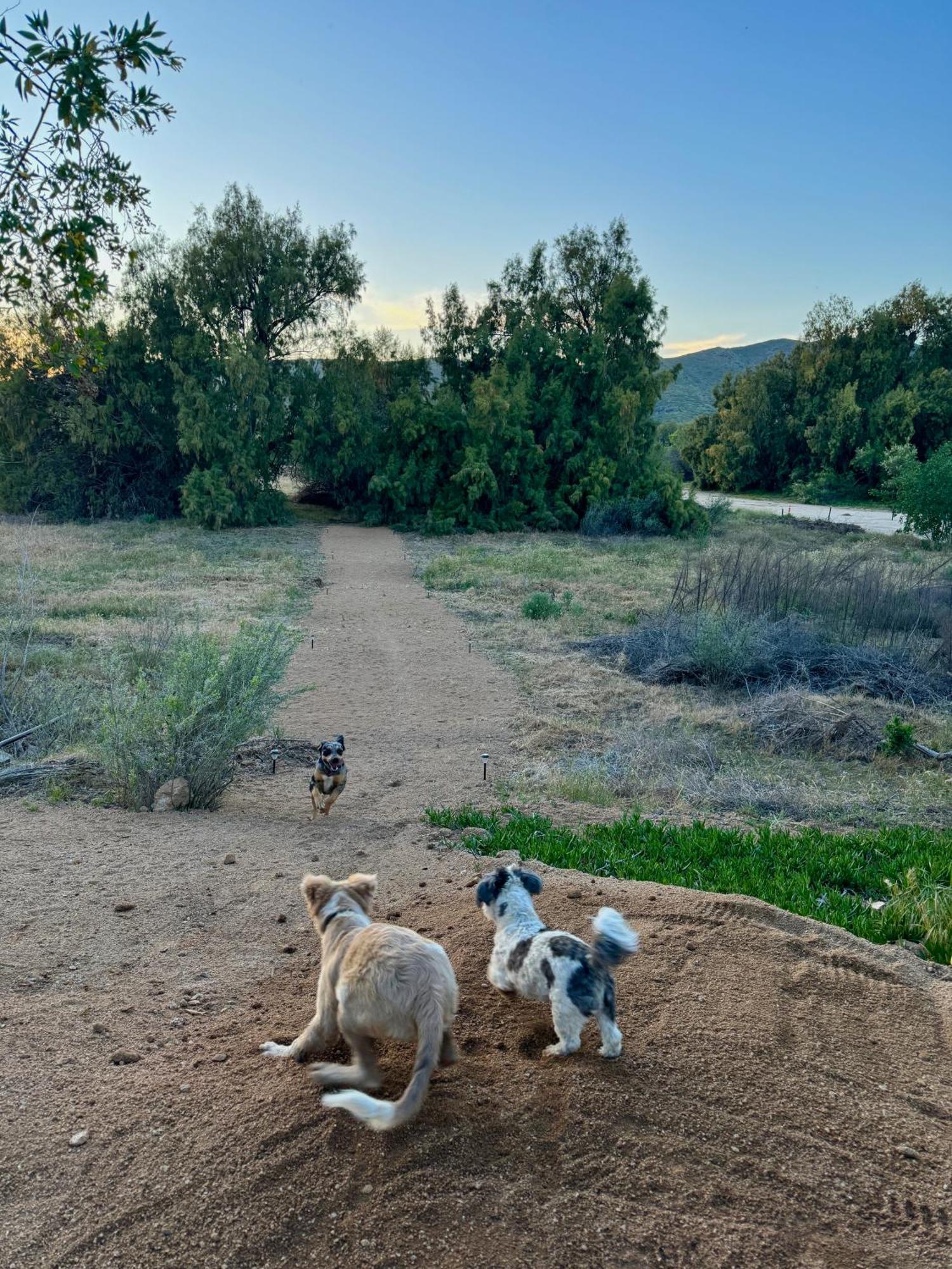 Rancho Dominique ואלה דה גוואדלופה מראה חיצוני תמונה