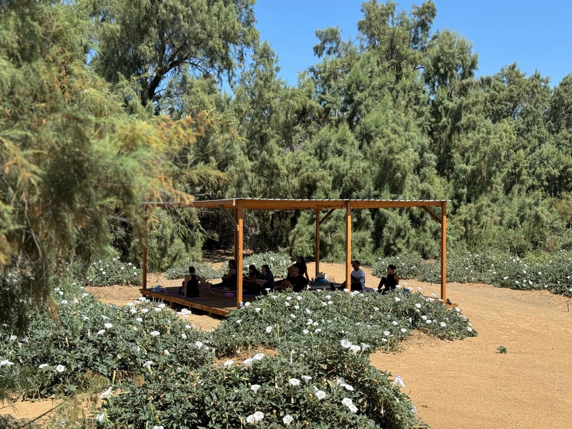 הוילה Rancho Dominique ואלה דה גוואדלופה מראה חיצוני תמונה